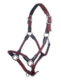 Licol HKM Carlotta bordeaux, taille Cheval