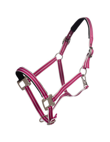 Licol HKM Quebec magenta, taille Cob