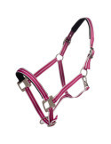 Licol HKM Quebec magenta, taille Cob