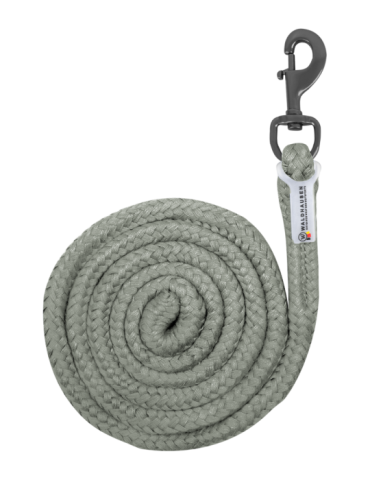 Longe Waldhausen rose