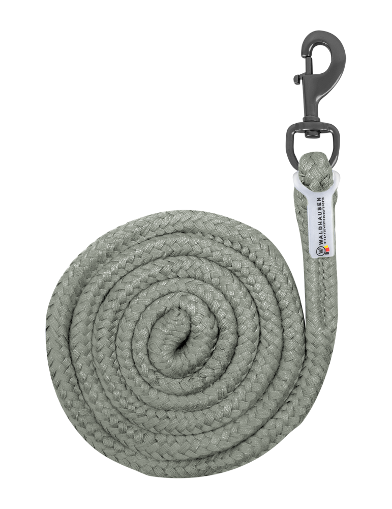 Longe Waldhausen rose