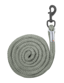 Longe Waldhausen rose