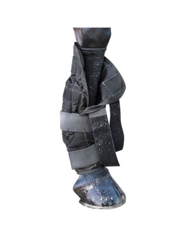 Cold Water Boots LeMieux, taille L
