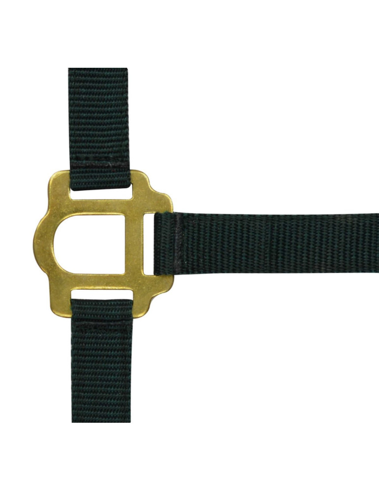 Licol noir, taille poney