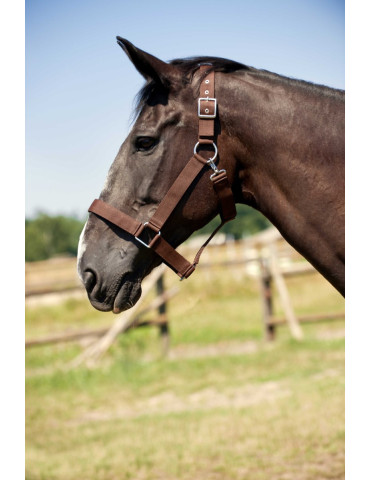 Licol Norton brun, taille cheval de trait