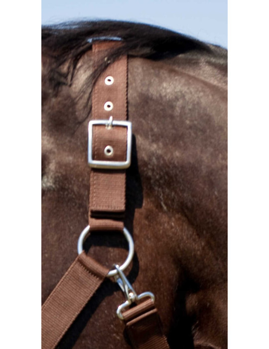 Licol Norton brun, taille cheval de trait