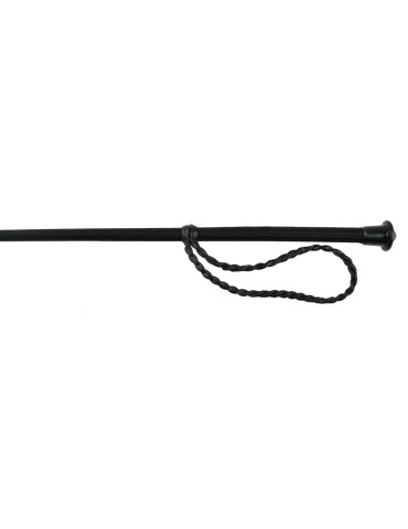 Cravache Whip & Go noir, 53 cm 2