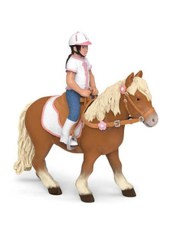 Poney Shetland avec selle