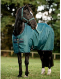 Amigo Ripstop 900D Turnout 0G Green 140cm - Nature Horse Langon
