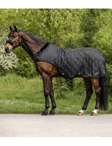 Couverture de manège Waldhausen 50 g | Nature Horse Langon