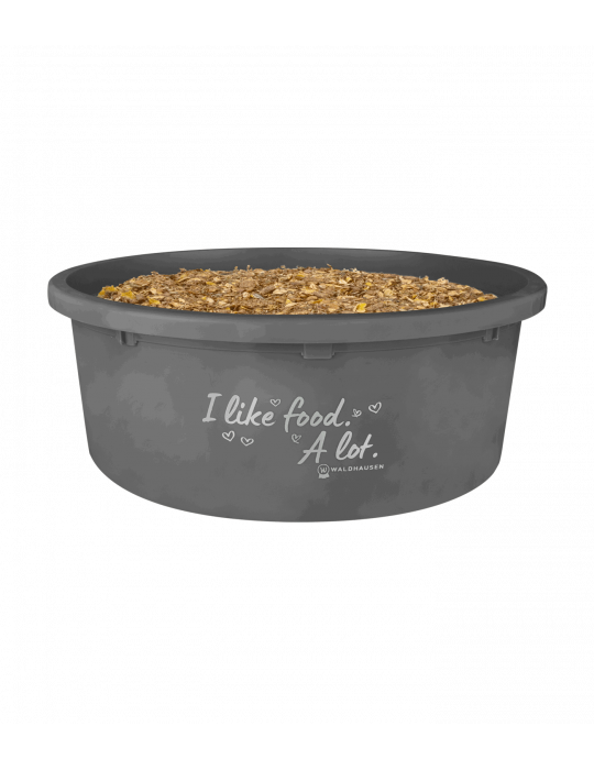 Bol à muesli XL avec couvercle, gris