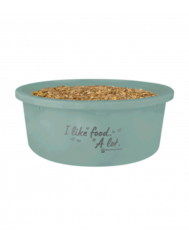 Bol à muesli XL avec couvercle, gui