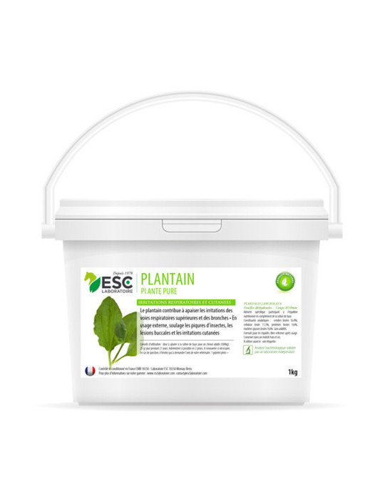Plantain 1KG