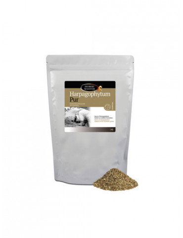 Harpagophytum semoulette 1 Kg
