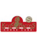 Kevin Bacon's