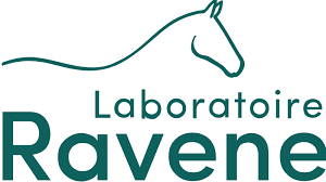 Ravene