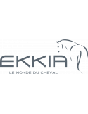 Ekkia