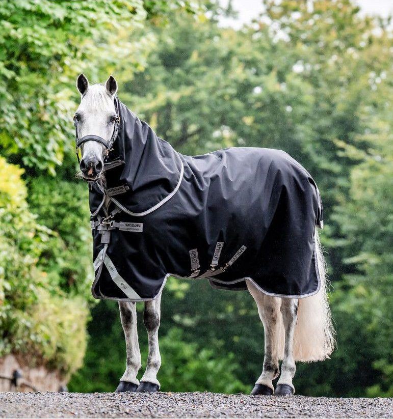 Univers cheval